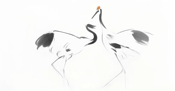 600x313