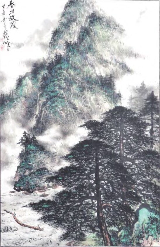 548x843
